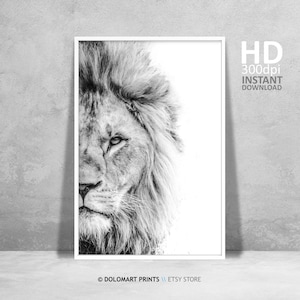 Löwen Wandkunst, Löwe Druck, Wildnis Fotografie, Tier Poster, druckbare Wandkunst Löwe Porträt Foto große Wandkunst, Sofort Download
