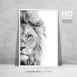 Lion Wall Art, Lion Print, Wilderness Photography, Animal Poster, Printable Wall Art Lion Portrait Photo Large Wall Art Instant Download