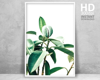 Rubber Tree Leaf Print, Minimalist Green Plant Decor (Digital Download)
