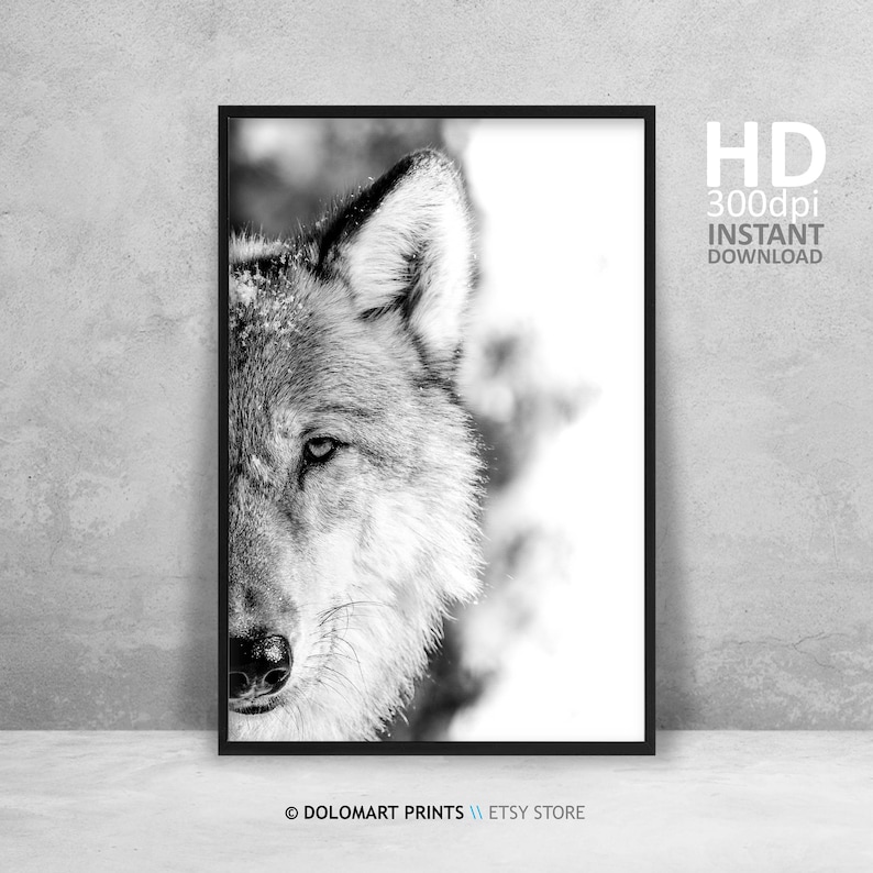 Wolf Portrait Photography Print, Black and White Animal Poster (Digital Download) image 3