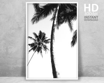 Black and White Palm Tree Photography, Tropical Wall Art (Digital Download)