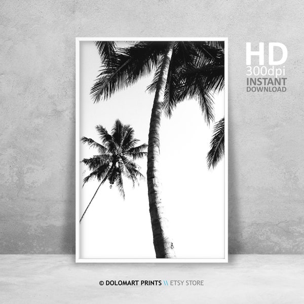 Palm Tree Print, Tropical Wall Art Decor, Black and White Palm Tree Photography, Large Printable Poster, Digital Download, Beach Plant Decor