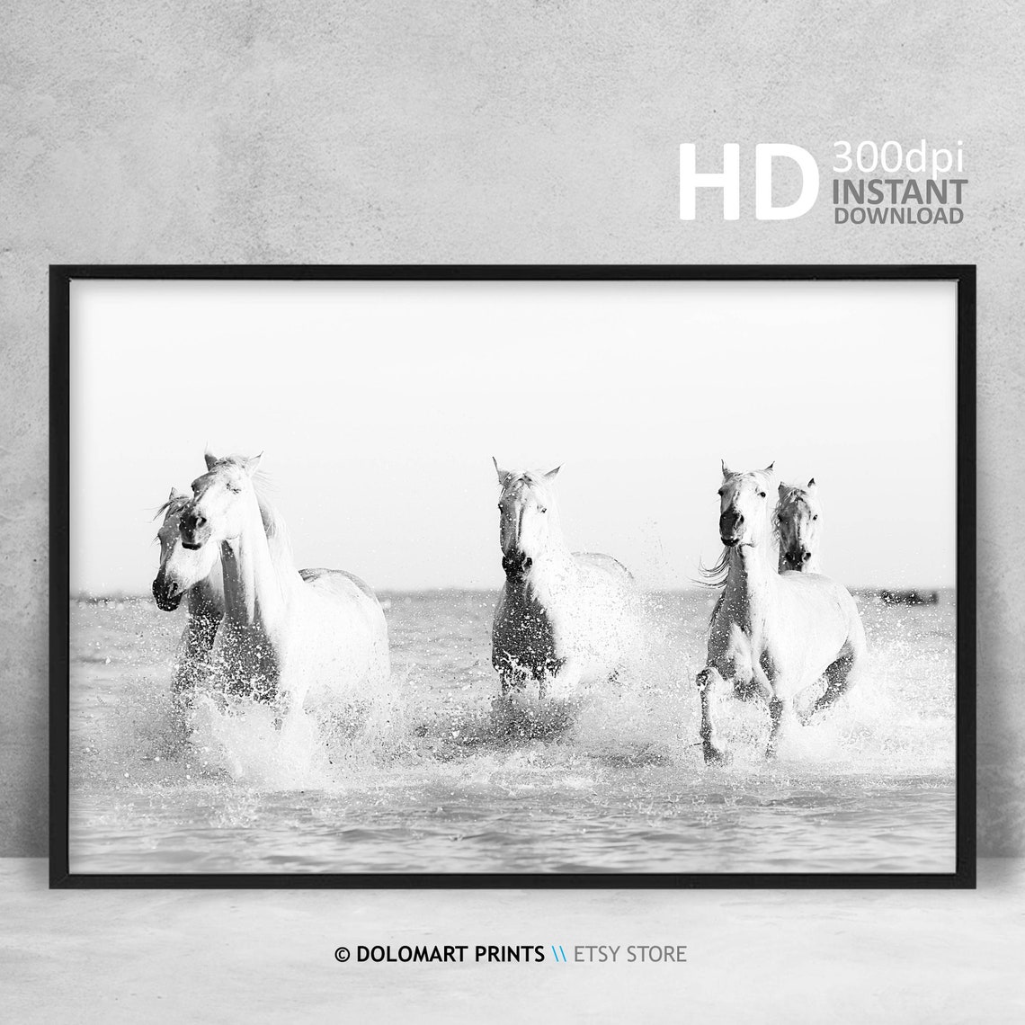 Horse Print Horse Wall Art White Horse Photography Equine Etsy