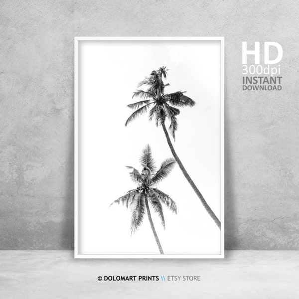 Palm Tree Print, Tropical Wall Art Decor, Black and White Palm Tree Photography, Large Printable Poster, Digital Download, Beach Plant Decor