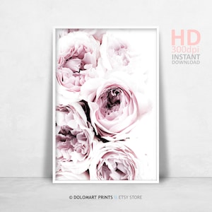 Impression pivoine rose blush, art mural rose, pivoine imprimable, décoration florale, téléchargement numérique, affiche de fleurs, photographie pivoine, photo florale