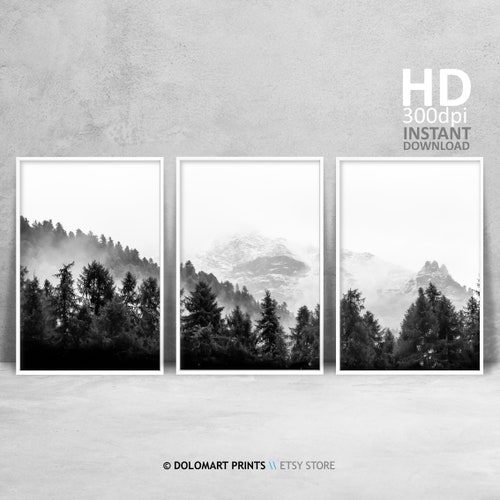 3 Piece Forest Wall Art Set of 3 Black and White Woodland Etsy