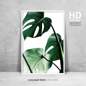 Tropical Leaf Wall Art, Monstera Deliciosa Leaf Print, Modern Botanical Plant Print, Printable Poster, Plant Photography, Minimal Room Art