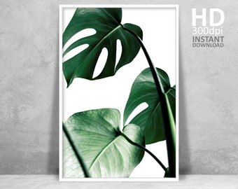 Tropical Leaf Wall Art, Monstera Deliciosa Leaf Print, Modern Botanical Plant Print, Printable Poster, Plant Photography, Minimal Room Art