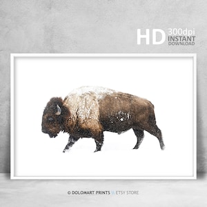 Bison Wall Art, Buffalo Horizontal Print, Wilderness Photography, Animal Poster, Large Printable Wall Art, Bison Buffalo Digital Prints Art