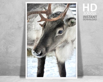 Rustic Reindeer Photography Print, Christmas Nursery Decor (Digital Download)