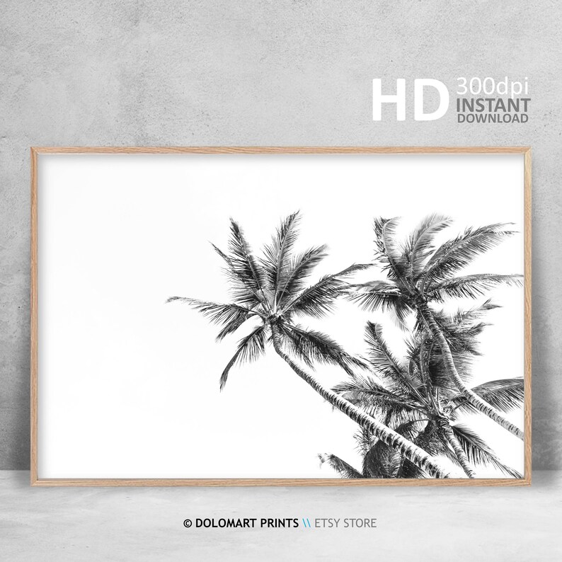 Palm Tree Print Tropical Wall Art Decor Black and White Palm - Etsy