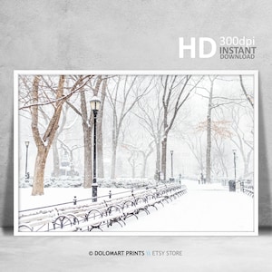 New York Central Park Print, New York Landscape Print, Central Park Under Snow Christmas Wall Art, NYC Fine Art Photography Printable Poster