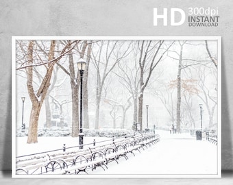 Central Park Snow Photography Print, Winter Landscape (Digital Download)