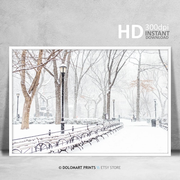 Stampa di New York Central Park, stampa del paesaggio di New York, Central Park sotto la neve, arte della parete di Natale, poster stampabile di fotografia d'arte di New York