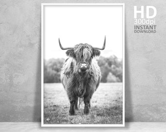 Highland Cow Print, Farm Animal Wall Art, Cow Poster, Rustic Wall Decor Digital Download Cattle Photography Printable Landscape Nature Photo