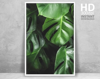Monstera Leaf Print, Green Botanical Wall Art (Digital Download)