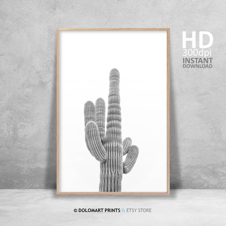 Cactus Wall Art Rustic Printable Wall Art Succulent Print Etsy