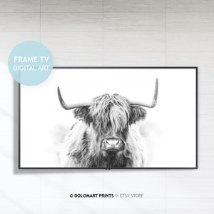 Samsung Frame TV Art, Highland Cow Art, Frame TV Art, Frame Art Tv, Animal Wall Art, Farmhouse Art, Digital DOWNLOAD, Digital Art for Tv