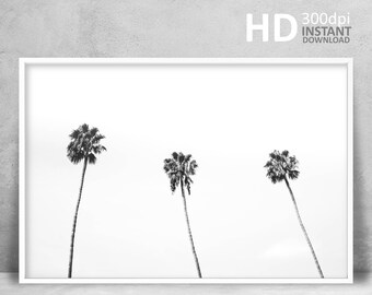 Black and White Palm Tree Print, Tropical Photography (Digital Download)