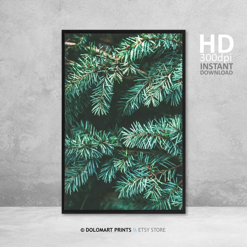Pine Tree Branch Photography Print, Forest Green Wall Art (Digital Download) image 2