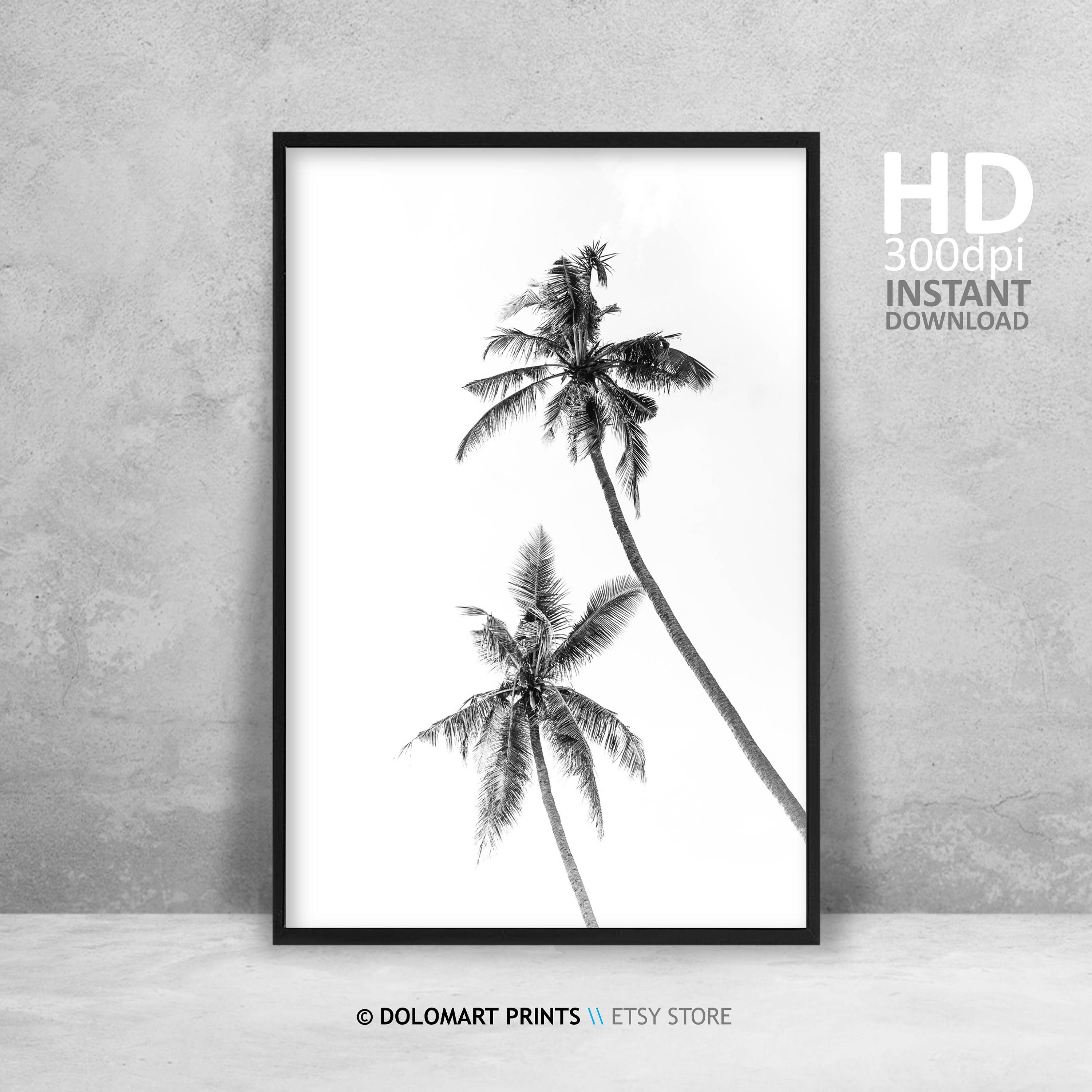 Palm Tree Print, Tropical Wall Art Decor, Black and White Palm Tree ...