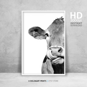 Stampa con ritratto di mucca divertente, arte di animali da fattoria (download digitale)