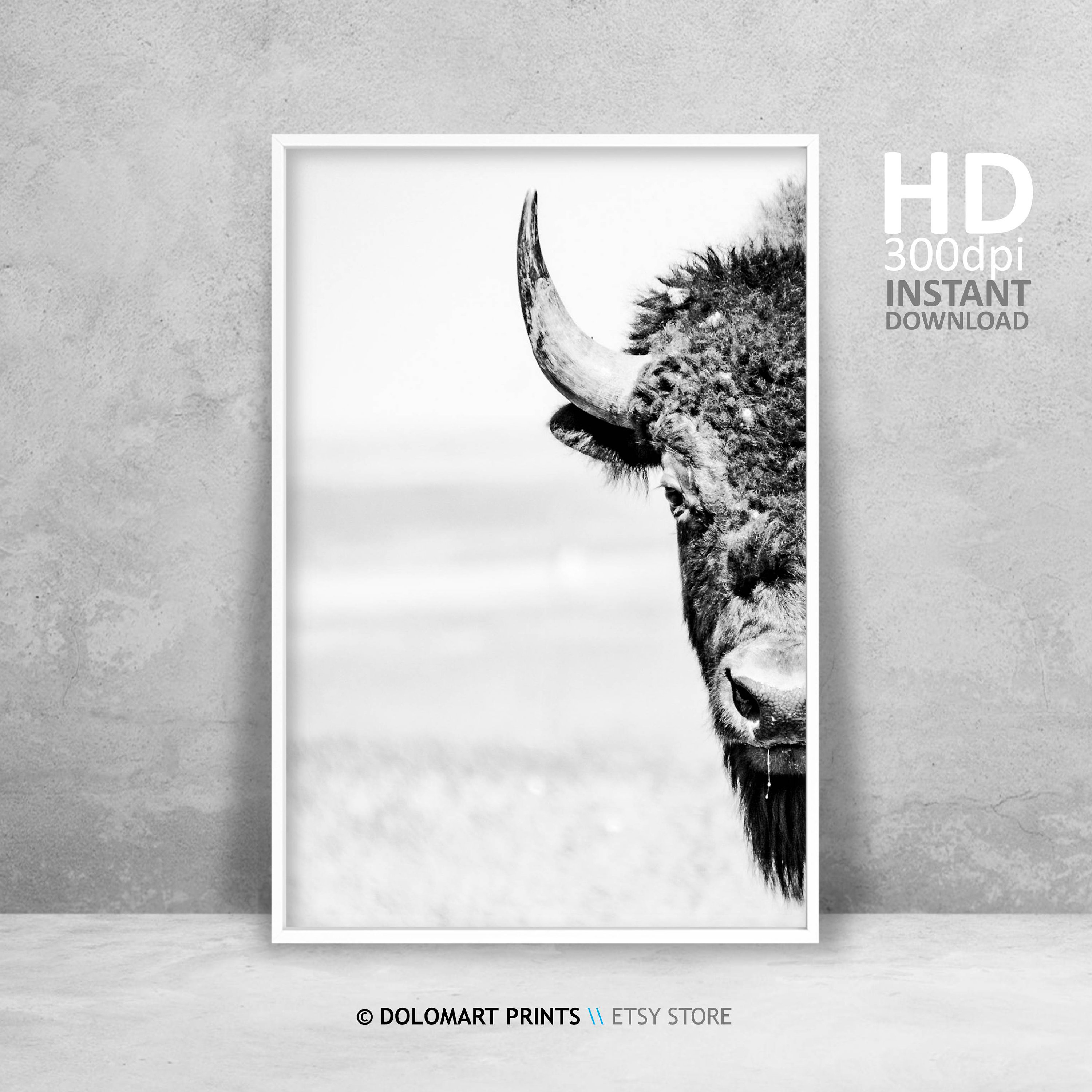Bison Wall Art Buffalo Print Wilderness Photography Animal Etsy