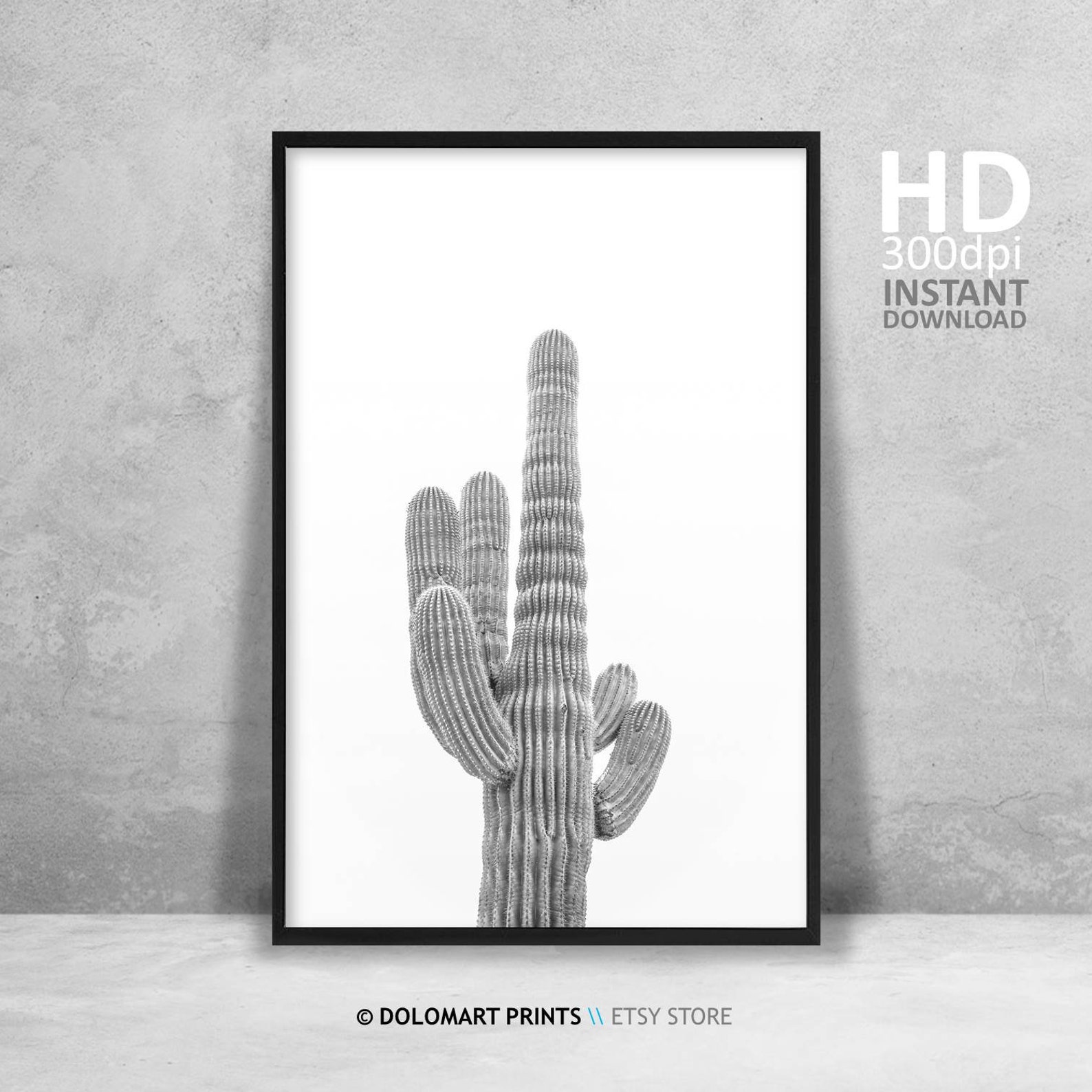 Cactus Wall Art Rustic Printable Wall Art Succulent Print Etsy
