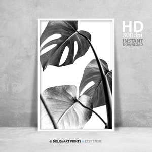 Monstera Deliciosa Leaf Print, Black and White Leaf Wall Art, Printable Poster, Plant Photography, Modern Botanical Plant Print, Room Art