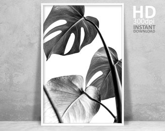 Monstera Deliciosa Leaf Print, Black and White Leaf Wall Art, Printable Poster, Plant Photography, Modern Botanical Plant Print, Room Art