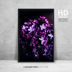 Purple Flower Print, Purple Flower Printable Photo, Purple Black Art ...