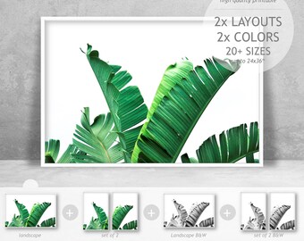 Banana Leaf Print Set, Tropical Greenery Wall Art (Digital Downloads)