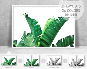 Botanical Prints, Rustic Home Decor, Greenery Wall Art Set, Tropical Botanic Green White Printables, Banana Leaf Wall Art, Digital Downloads