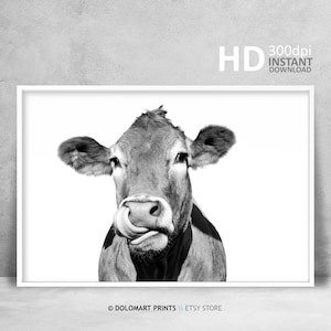 Rustic Cow Print, Cow Wall Art, Black and White, Animal Photography, Modern Print, Farm Animal Print, Minimalist Print, Digital Download Art