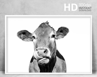 Rustic Cow Print, Cow Wall Art, Black and White, Animal Photography, Modern Print, Farm Animal Print, Minimalist Print, Digital Download Art