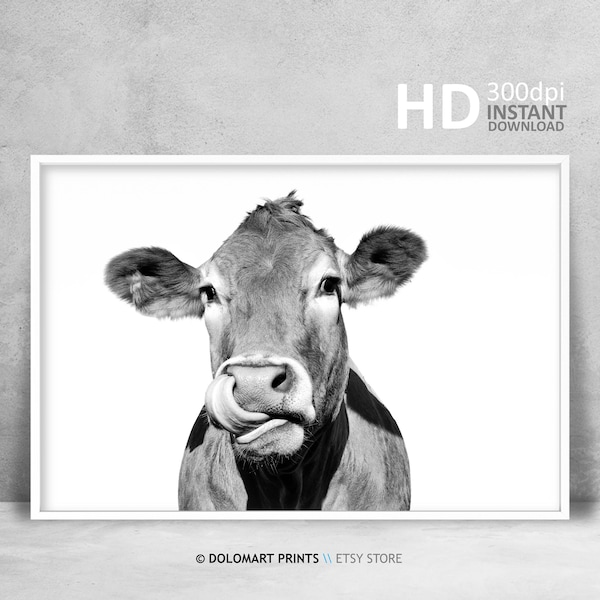 Rustic Cow Print, Cow Wall Art, Black and White, Animal Photography, Modern Print, Farm Animal Print, Minimalist Print, Digital Download Art