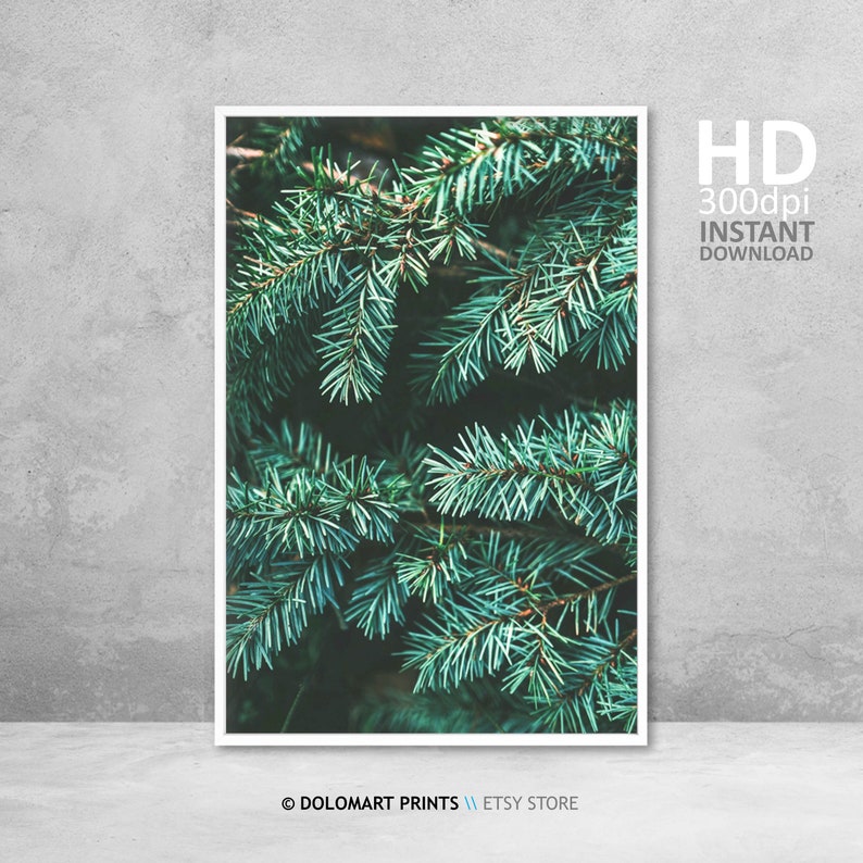Forest Print Pine Tree Wall Art Pine Tree Printable Forest Etsy