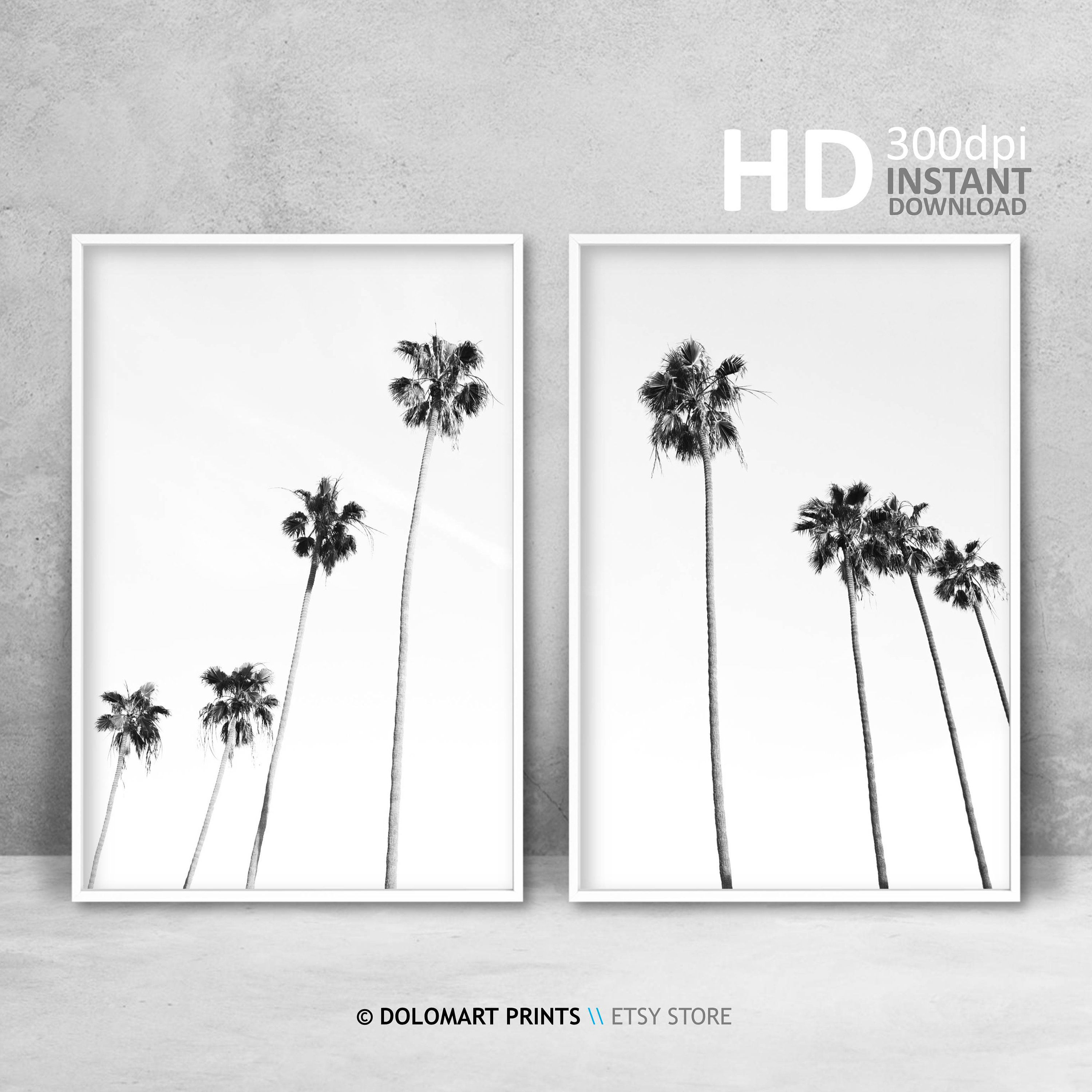 Palm Tree Prints Tropical Wall Art Decor Black and White - Etsy