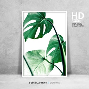 Modern Botanical Plant Print, Monstera Deliciosa Leaf Print, Green and White Leaf Wall Art, Printable Poster, Plant Photography, Room Art