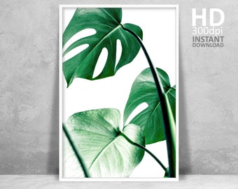 Monstera Leaf Print, Modern Botanical Photography, Green Room Art (Digital Download)