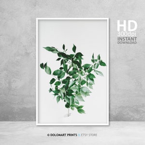 Green Botanical Art Print, Minimal Greenery Art Printable, Botanical Wall Art, Printable Green Home Decor, Green and White Modern Botanical