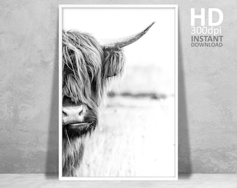 Cow Wall Art, Highland Cow Print, Rustic Home Decor, Cattle Photography, Animal Black White Printable Poster, Farm House Wall Decor, Cow Art
