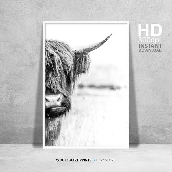 Cow Wall Art, Highland Cow Print, Rustic Home Decor, Cattle Photography, Animal Black White Printable Poster, Farm House Wall Decor, Cow Art