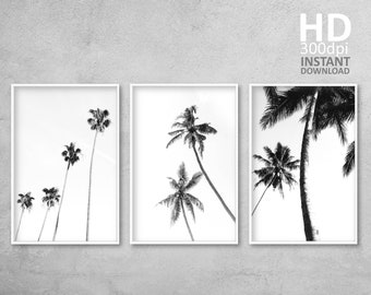Palm Tree Print, Tropical Wall Art Decor, Set of Palm Prints, Black and White Palm Tree Photography, Digital Prints Download, Tropical Print