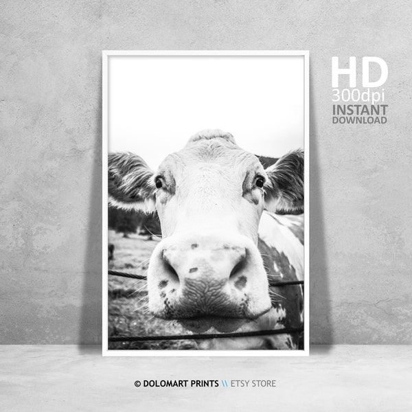 Cow Wall Art, Funny Cow Print, Rustic Home Decor, Cattle Photography, Animal Black White Printable Poster, Farm House Wall Decor, Cow Art