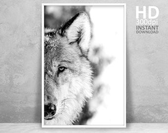 Wolf Wall Art, Wolf Print, Wilderness Photography, Animal Poster, Printable Wall Art Forest Wolf Photo Large Wall Art Instant Download Print
