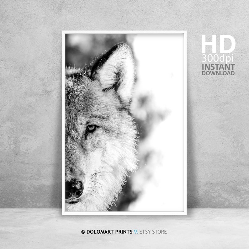 Wolf Portrait Photography Print, Black and White Animal Poster (Digital Download) image 1