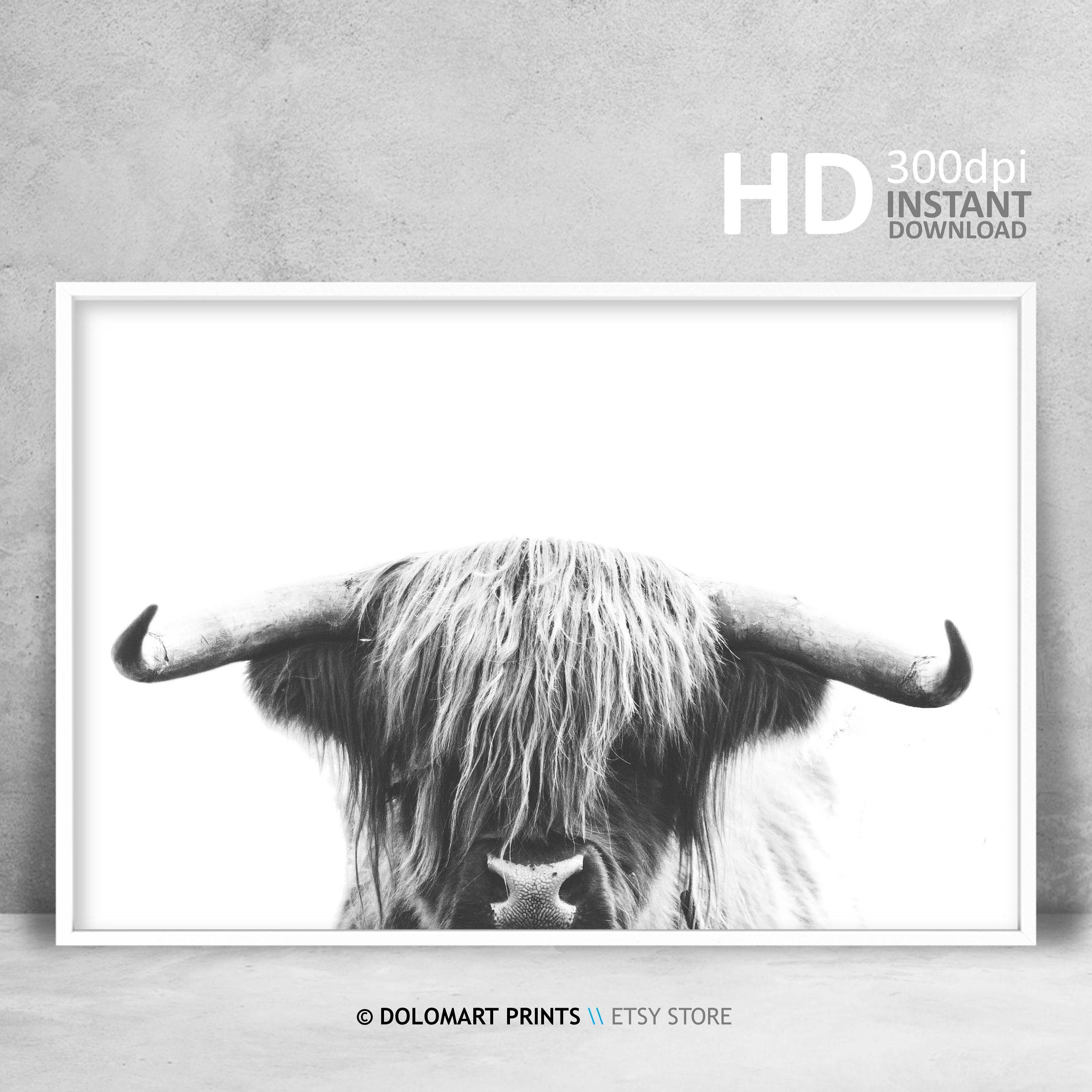 Highland Cow Print, Farm Animal Wall Art, Cow Poster, Rustic Wall Decor Digital Download Cattle Photography Printable Landscape Nature Photo