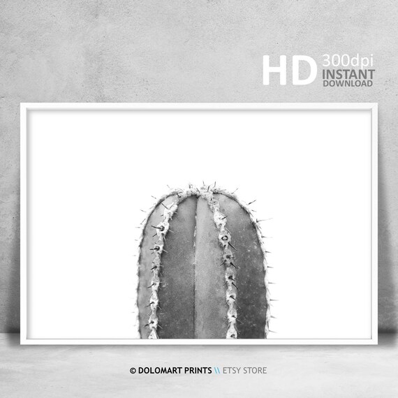 Minimalistischer Kaktus Druck, schwarz weiss, Skandinavisches Dekor  (Digitaler Download) - Etsy.de