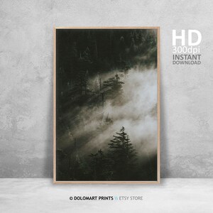 Misty Forest Print, Nordic Landscape Photography (Digital Download) image 3